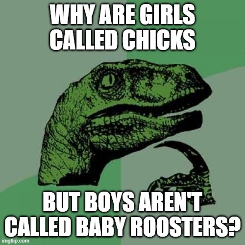 Philosoraptor | WHY ARE GIRLS CALLED CHICKS; BUT BOYS AREN'T CALLED BABY ROOSTERS? | image tagged in memes,philosoraptor | made w/ Imgflip meme maker