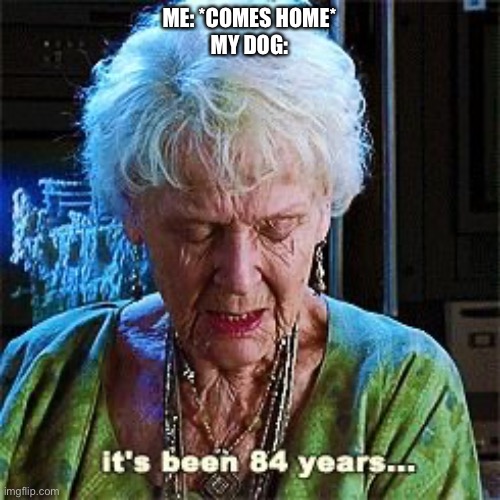 It's been 84 years | ME: *COMES HOME*
MY DOG: | image tagged in it's been 84 years | made w/ Imgflip meme maker