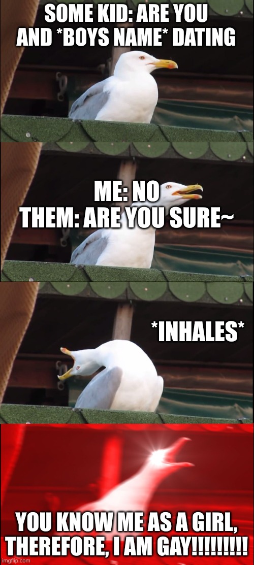 This happens to often | SOME KID: ARE YOU AND *BOYS NAME* DATING; ME: NO
THEM: ARE YOU SURE~; *INHALES*; YOU KNOW ME AS A GIRL, THEREFORE, I AM GAY!!!!!!!!! | image tagged in memes,inhaling seagull | made w/ Imgflip meme maker