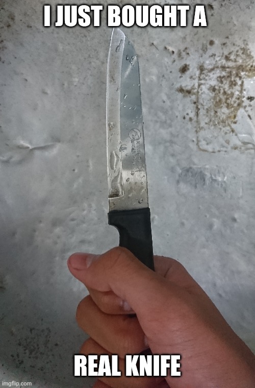 I just bought a real knife | I JUST BOUGHT A; REAL KNIFE | image tagged in knife,me holing knife,chara pls don't steal this,genocide mode i think | made w/ Imgflip meme maker