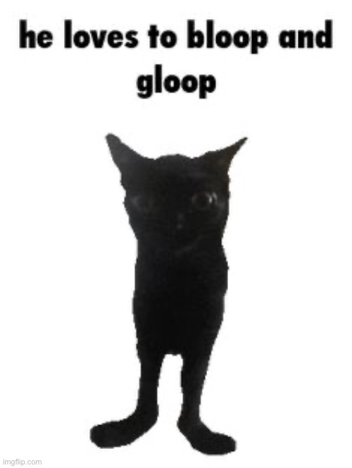 no!!!!!! | made w/ Imgflip meme maker