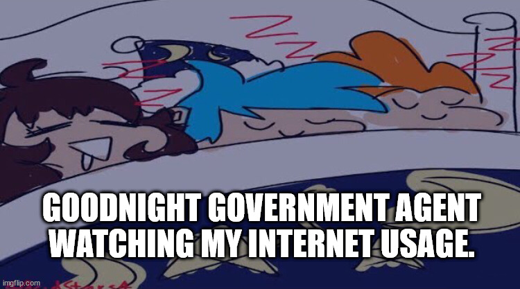 I know you're there. | GOODNIGHT GOVERNMENT AGENT WATCHING MY INTERNET USAGE. | image tagged in sleeping smoll beans | made w/ Imgflip meme maker