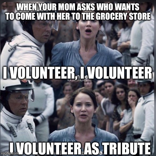 I volunteer tribute | WHEN YOUR MOM ASKS WHO WANTS TO COME WITH HER TO THE GROCERY STORE; I VOLUNTEER, I VOLUNTEER; I VOLUNTEER AS TRIBUTE | image tagged in katniss everdeen | made w/ Imgflip meme maker