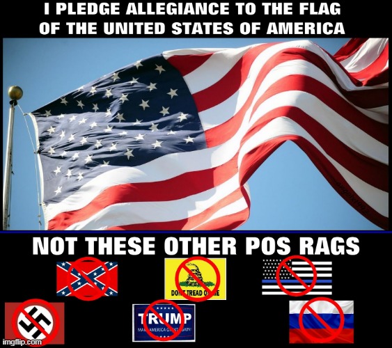 image tagged in american,false flags,clown car republicans,racist flags,american flag,rags | made w/ Imgflip meme maker