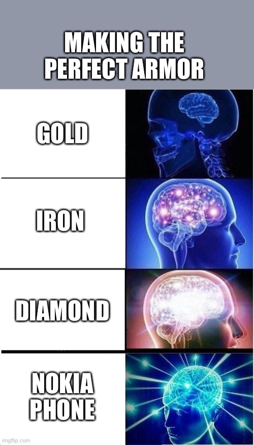 Ahem | MAKING THE PERFECT ARMOR; GOLD; IRON; DIAMOND; NOKIA PHONE | image tagged in memes,expanding brain,funny,funny memes,fun,lol | made w/ Imgflip meme maker