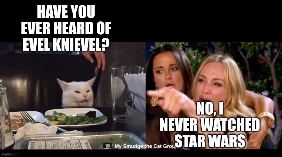 HAVE YOU EVER HEARD OF EVEL KNIEVEL? NO, I NEVER WATCHED STAR WARS | image tagged in smudge the cat | made w/ Imgflip meme maker