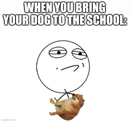 All my friends get super crazy and wanna hug/pet my dog when i bring her ;-; | WHEN YOU BRING YOUR DOG TO THE SCHOOL: | image tagged in memes,challenge accepted rage face | made w/ Imgflip meme maker