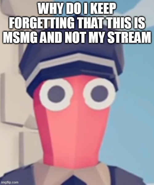 TABS Stare | WHY DO I KEEP FORGETTING THAT THIS IS MSMG AND NOT MY STREAM | image tagged in tabs stare | made w/ Imgflip meme maker