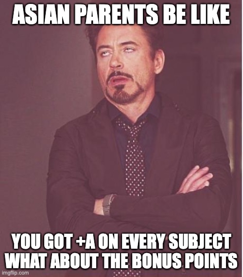 QWA |  ASIAN PARENTS BE LIKE; YOU GOT +A ON EVERY SUBJECT WHAT ABOUT THE BONUS POINTS | image tagged in memes,face you make robert downey jr | made w/ Imgflip meme maker