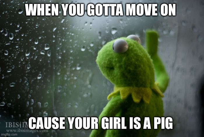 kermit window | WHEN YOU GOTTA MOVE ON; CAUSE YOUR GIRL IS A PIG | image tagged in kermit window | made w/ Imgflip meme maker