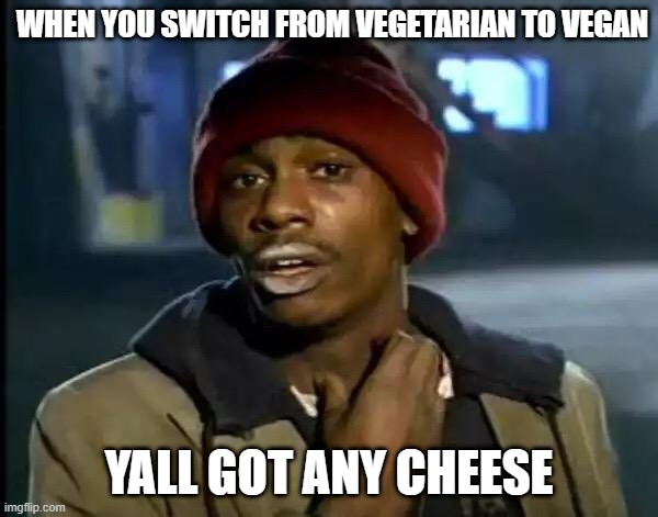 Vegan lyfe | WHEN YOU SWITCH FROM VEGETARIAN TO VEGAN; YALL GOT ANY CHEESE | image tagged in memes,y'all got any more of that | made w/ Imgflip meme maker