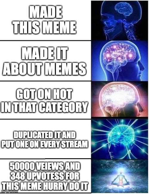 QWA | MADE THIS MEME; MADE IT ABOUT MEMES; GOT ON HOT IN THAT CATEGORY; DUPLICATED IT AND PUT ONE ON EVERY STREAM; 50000 VEIEWS AND 348 UPVOTESS FOR THIS MEME HURRY DO IT | image tagged in expanding brain 5 panel | made w/ Imgflip meme maker