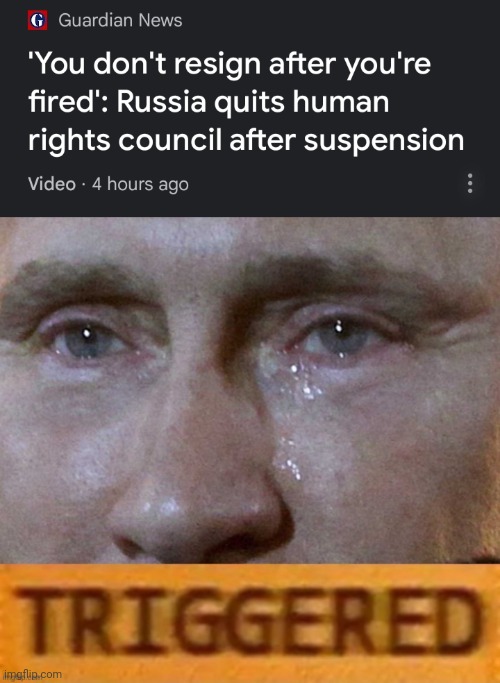 image tagged in putin triggered,united nations,human rights,crybully | made w/ Imgflip meme maker