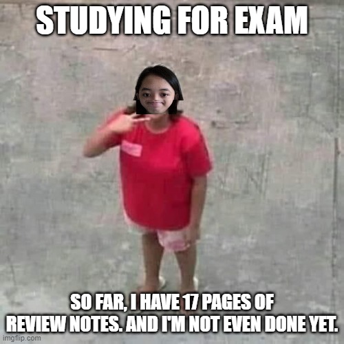 I feel like a fucking god | STUDYING FOR EXAM; SO FAR, I HAVE 17 PAGES OF REVIEW NOTES. AND I'M NOT EVEN DONE YET. | image tagged in jemy posing at camera | made w/ Imgflip meme maker