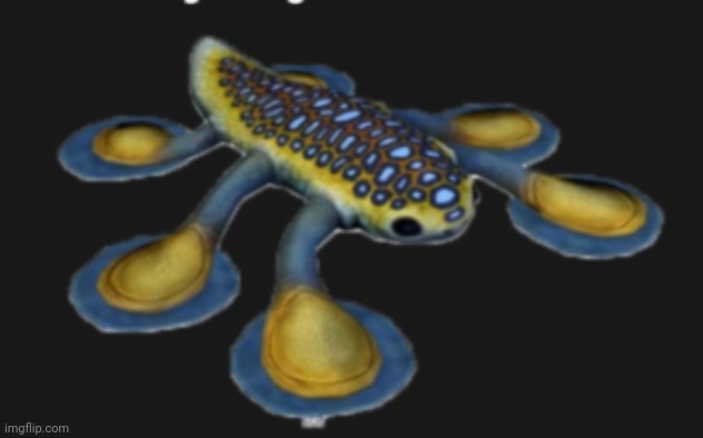 jerry the hover fish | image tagged in jerry the hover fish | made w/ Imgflip meme maker