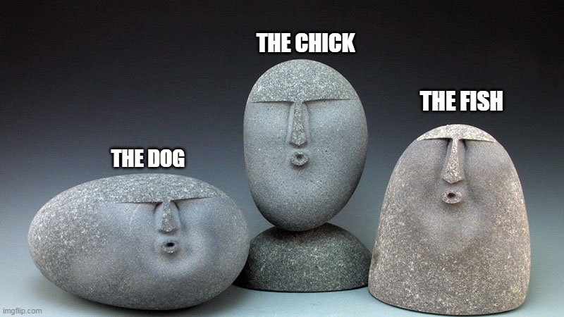 Oof Stones | THE DOG THE CHICK THE FISH | image tagged in oof stones | made w/ Imgflip meme maker