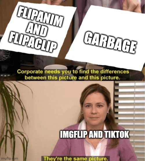 They are the same pictures | FLIPANIM AND FLIPACLIP; GARBAGE; IMGFLIP AND TIKTOK | image tagged in flipanim sucks,imgflip,funny,good memes | made w/ Imgflip meme maker