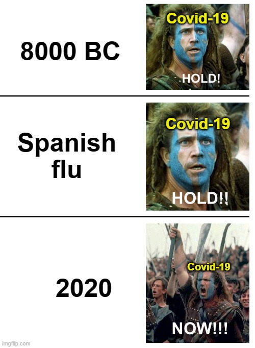 The pandemic be like: | Covid-19; 8000 BC; Covid-19; Spanish flu; 2020; Covid-19 | image tagged in hold hold now | made w/ Imgflip meme maker