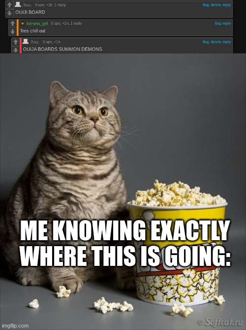 ME KNOWING EXACTLY WHERE THIS IS GOING: | image tagged in cat eating popcorn | made w/ Imgflip meme maker
