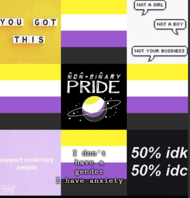 High Quality Non-binary Blank Meme Template