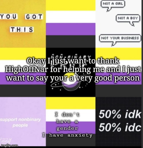 Non-binary | Okay I just want to thank HighOffNar for helping me and I just want to say your a very good person | image tagged in non-binary | made w/ Imgflip meme maker