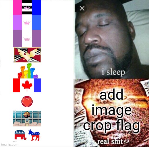politik | add image crop flag | image tagged in memes,sleeping shaq | made w/ Imgflip meme maker