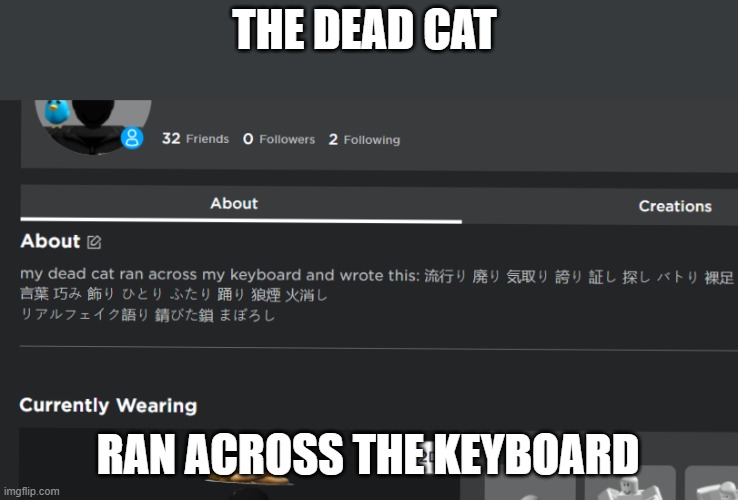 my dead cat ran across my keyboard and wrote this: 流行り 廃り 気取り 誇り 証し 探し バトり 裸足 言葉 巧み 飾り ひとり ふたり 踊り 狼煙 火消し リアルフェイク語り 錆びた鎖 まぼろし | THE DEAD CAT; RAN ACROSS THE KEYBOARD | image tagged in memes | made w/ Imgflip meme maker