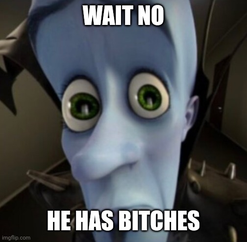 No bitches? | WAIT NO; HE HAS BITCHES | image tagged in no bitches | made w/ Imgflip meme maker