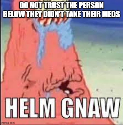 HELM GNAW | DO NOT TRUST THE PERSON BELOW THEY DIDN'T TAKE THEIR MEDS | image tagged in helm gnaw | made w/ Imgflip meme maker