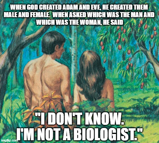 Gardening | WHEN GOD CREATED ADAM AND EVE, HE CREATED THEM 
MALE AND FEMALE.  WHEN ASKED WHICH WAS THE MAN AND 
WHICH WAS THE WOMAN, HE SAID; "I DON'T KNOW. I'M NOT A BIOLOGIST." | image tagged in gardening | made w/ Imgflip meme maker
