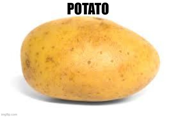 potato | POTATO | image tagged in potato,potatos,potatos1,potatos2,potatos3,potatos4 | made w/ Imgflip meme maker