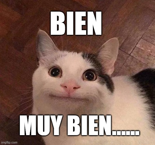 bien | BIEN; MUY BIEN...... | image tagged in funny meme | made w/ Imgflip meme maker