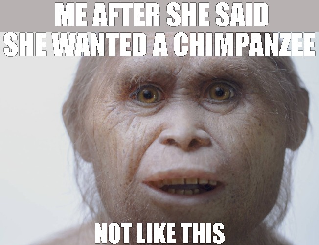 im hurt | ME AFTER SHE SAID SHE WANTED A CHIMPANZEE; NOT LIKE THIS | image tagged in hobo ape | made w/ Imgflip meme maker