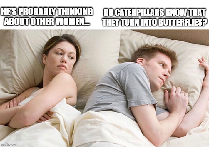 He's probably thinking about girls | DO CATERPILLARS KNOW THAT THEY TURN INTO BUTTERFLIES? HE'S PROBABLY THINKING ABOUT OTHER WOMEN... | image tagged in he's probably thinking about girls,memes | made w/ Imgflip meme maker