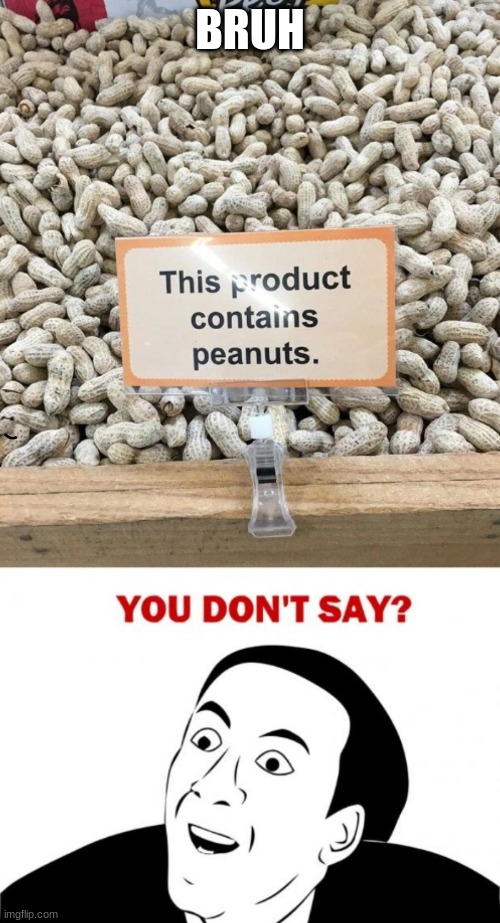 Isn't it obvious | BRUH | image tagged in peanuts,you dont say | made w/ Imgflip meme maker