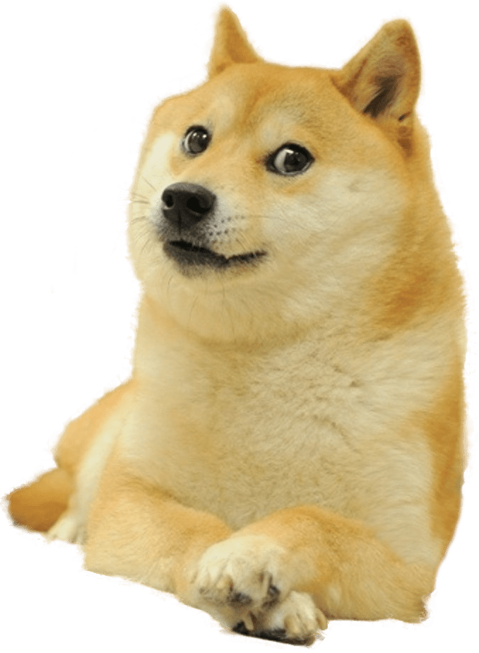 High Quality Dogecoin supreme Blank Meme Template