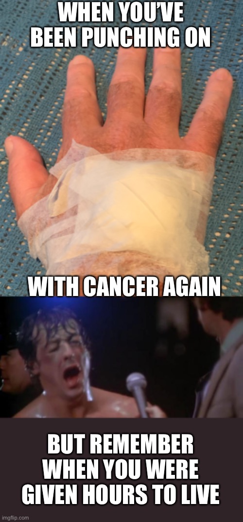 Remember when you were dying? |  WHEN YOU’VE BEEN PUNCHING ON; WITH CANCER AGAIN; BUT REMEMBER WHEN YOU WERE GIVEN HOURS TO LIVE | image tagged in rocky adrian,rocky,cancer,terminal,sick,dying | made w/ Imgflip meme maker