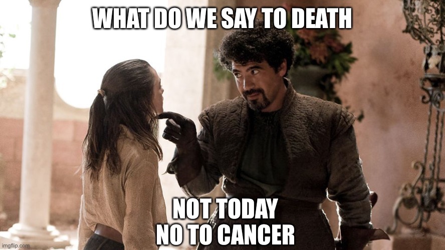 Cancer death, yeah nah | WHAT DO WE SAY TO DEATH; NOT TODAY
NO TO CANCER | image tagged in not today,cancer,death,living | made w/ Imgflip meme maker