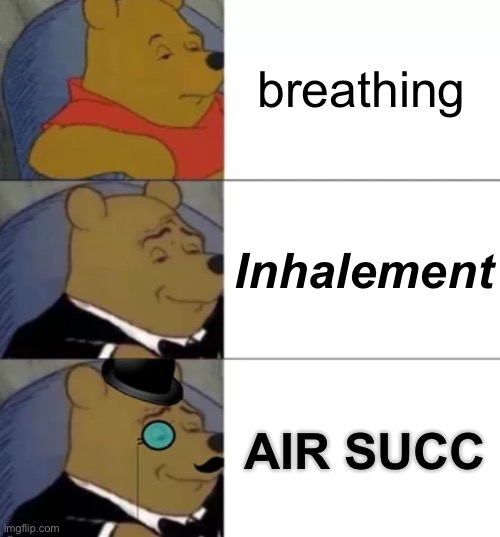 succ | breathing; Inhalement; AIR SUCC | image tagged in fancy pooh,succ,breath | made w/ Imgflip meme maker