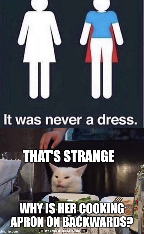 THAT'S STRANGE; WHY IS HER COOKING APRON ON BACKWARDS? | image tagged in smudge the cat | made w/ Imgflip meme maker