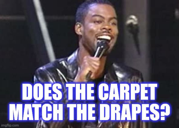 DOES THE CARPET
MATCH THE DRAPES? | made w/ Imgflip meme maker