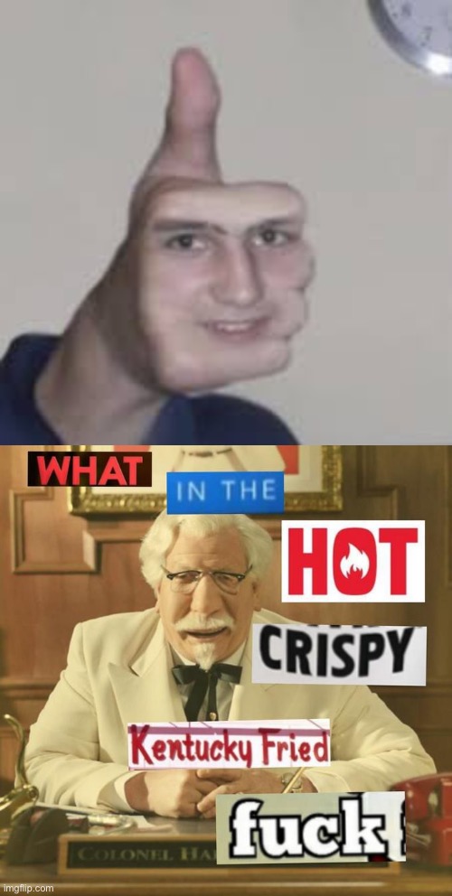 Wtf | image tagged in what in the hot crispy kentucky fried frick,wtf | made w/ Imgflip meme maker