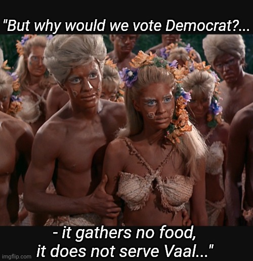 Does not serve Vaal |  "But why would we vote Democrat?... - it gathers no food, it does not serve Vaal..." | image tagged in democrats,don't do it | made w/ Imgflip meme maker
