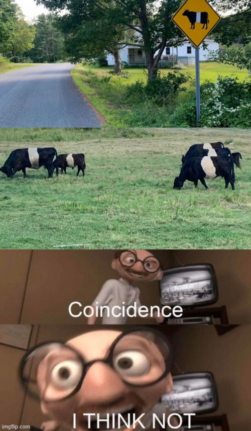 image tagged in coincidence i think not | made w/ Imgflip meme maker