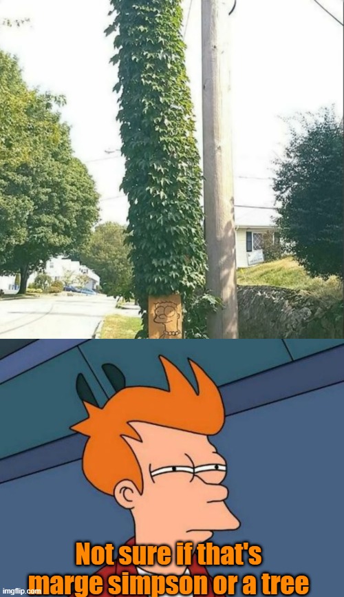 Not sure if that's marge simpson or a tree | image tagged in memes,futurama fry | made w/ Imgflip meme maker