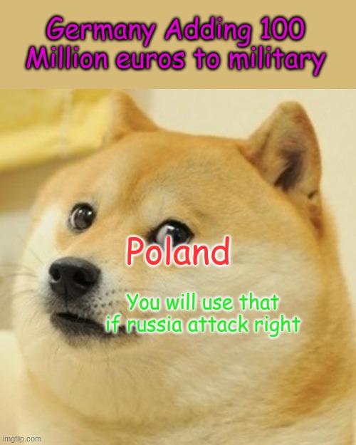 Doge | Germany Adding 100 Million euros to military; Poland; You will use that if russia attack right | image tagged in memes,doge | made w/ Imgflip meme maker