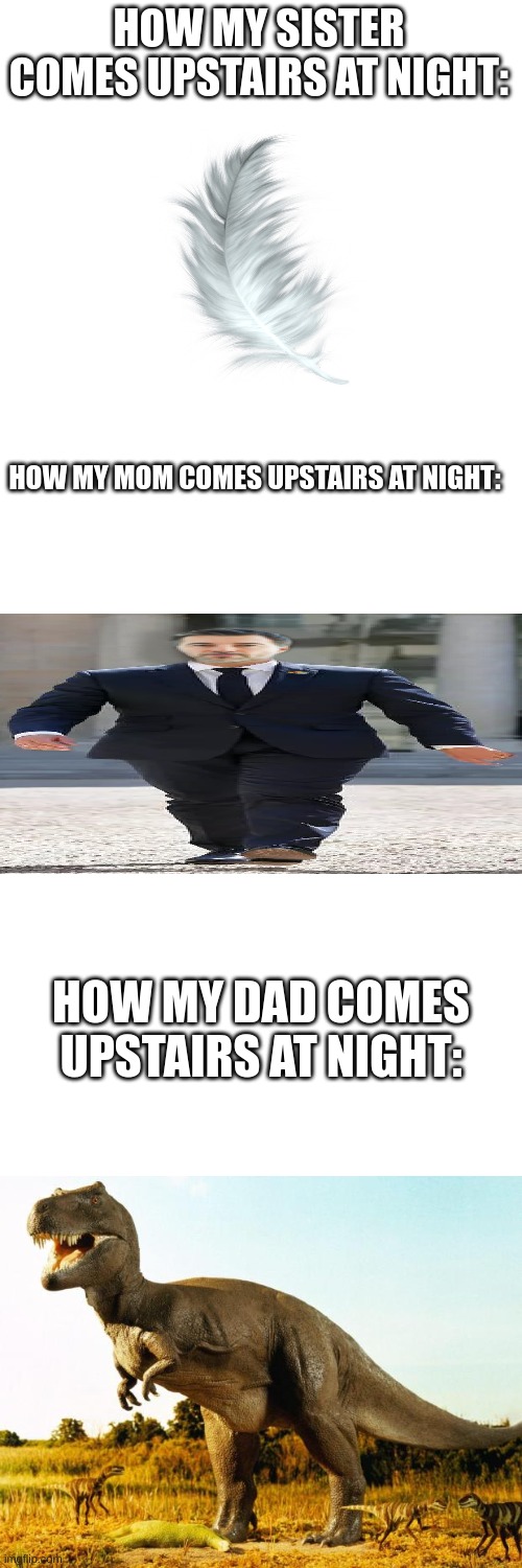 yet my dad thinks hes quiet lol | HOW MY SISTER COMES UPSTAIRS AT NIGHT:; HOW MY MOM COMES UPSTAIRS AT NIGHT:; HOW MY DAD COMES UPSTAIRS AT NIGHT: | image tagged in blank white template,t-rex | made w/ Imgflip meme maker