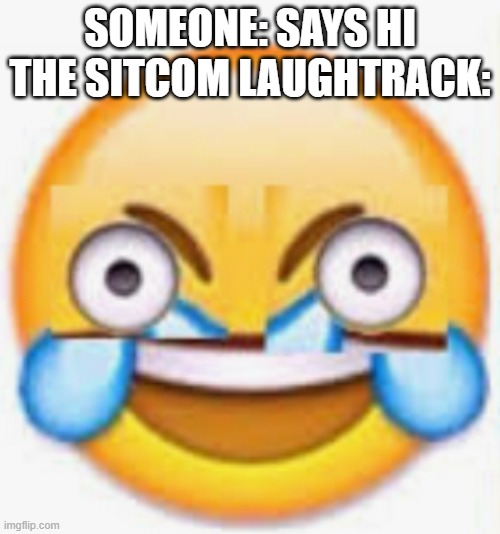 *hahahahaha* | SOMEONE: SAYS HI
THE SITCOM LAUGHTRACK: | image tagged in tears of joy,memes,funny,comedy | made w/ Imgflip meme maker
