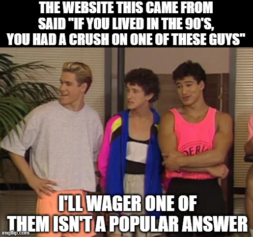 Guess Who? |  THE WEBSITE THIS CAME FROM SAID "IF YOU LIVED IN THE 90'S, YOU HAD A CRUSH ON ONE OF THESE GUYS"; I'LL WAGER ONE OF THEM ISN'T A POPULAR ANSWER | image tagged in 90s kids | made w/ Imgflip meme maker