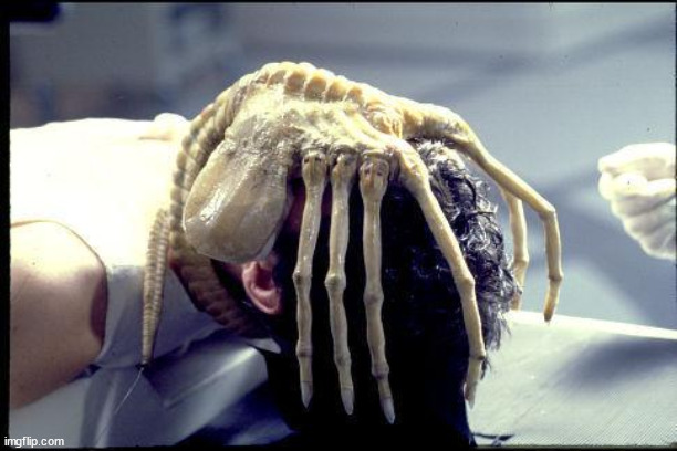 facehugger | image tagged in facehugger | made w/ Imgflip meme maker